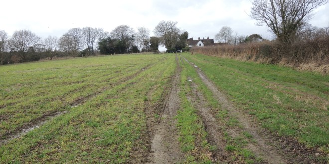 Picture of arable field near Crawley Down